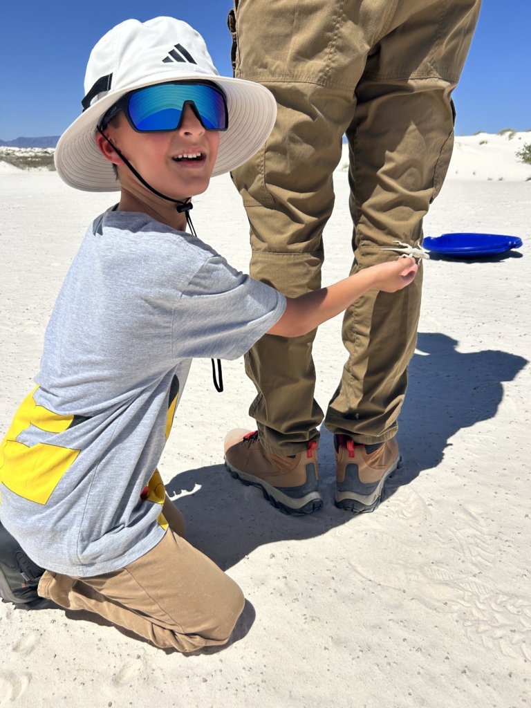 One of the white lizard climbed onto Orlando’s pants!